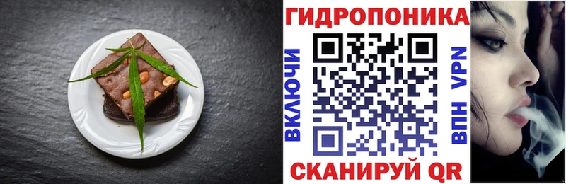 Cannafood конопля  как найти   shop Telegram  Сысерть 