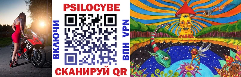 Псилоцибиновые грибы Cubensis дарнет шоп Сысерть